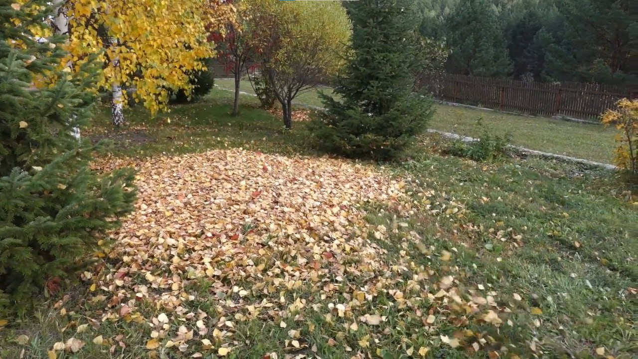 https://irkutsk.mslandshaft.ru/storage/app/uploads/public/642/ac5/f22/642ac5f2293e2935715739.jpg